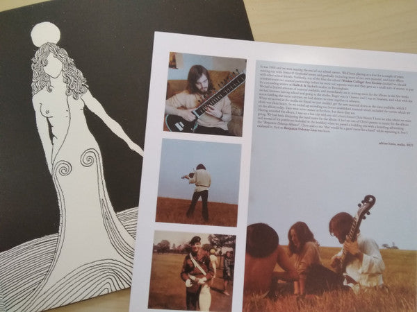 The Benjamin Delaney Lion - Satori (VINYL) | Mint (M) Mint (M) - FOLK *NEW*
