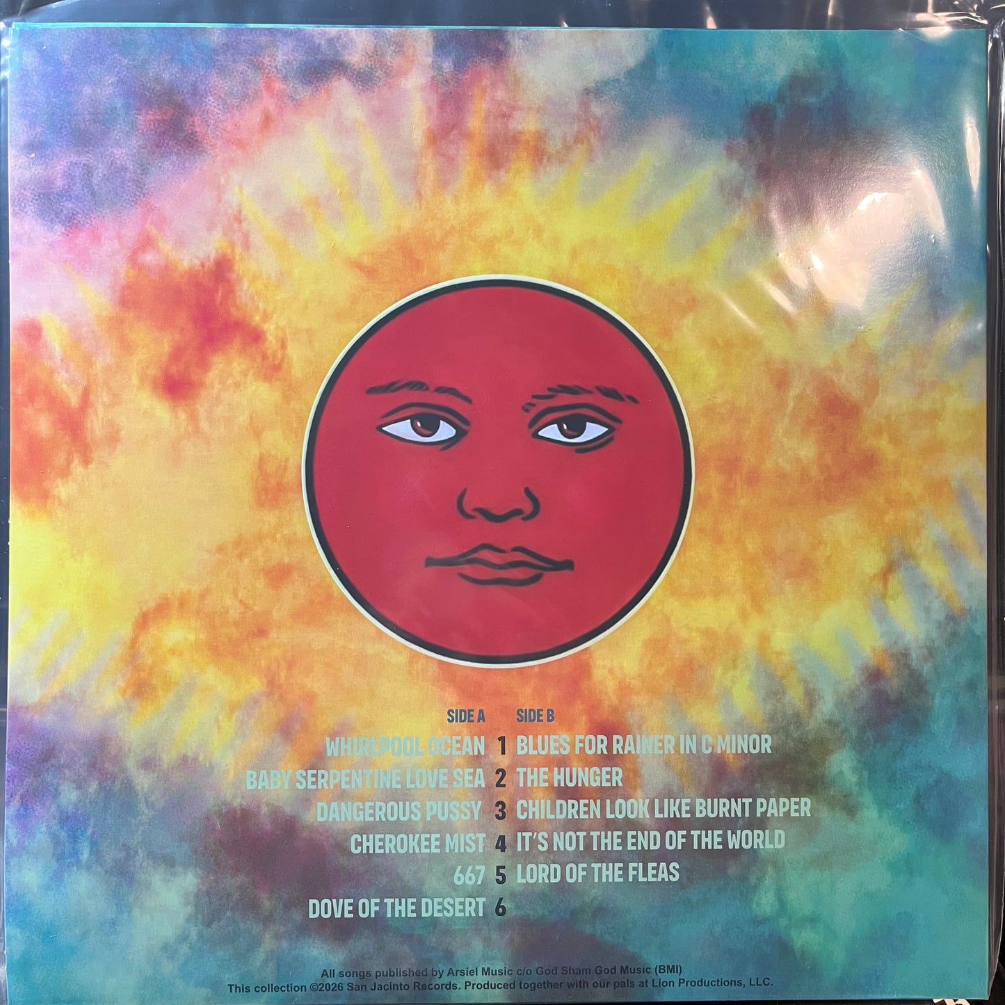 Black Sun Ensemble - Whirlpool Ocean (VINYL) | Mint (M) Mint (M) - ROCK *NEW*