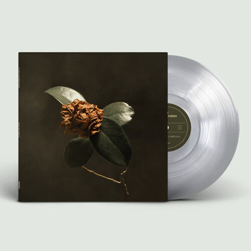 St. Paul & The Broken Bones - Young Sick Camellia (VINYL) | - ROCK *NEW*
