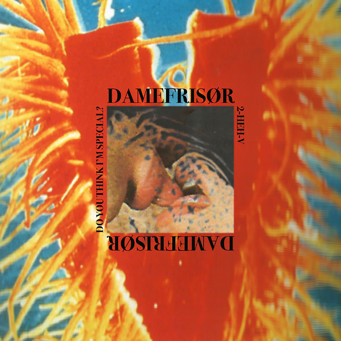 DAMEFRISOR - Do You Think I’m Special? (INDIE EXCLUSIVE) (Vinyl) | Mint (M) Mint (M) - ROCK *NEW*