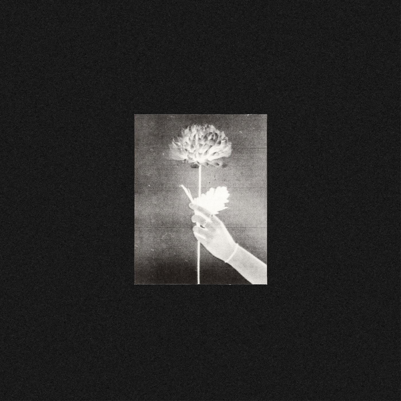 White Flowers - Day By Day (BLUE VINYL) | - ROCK *NEW*