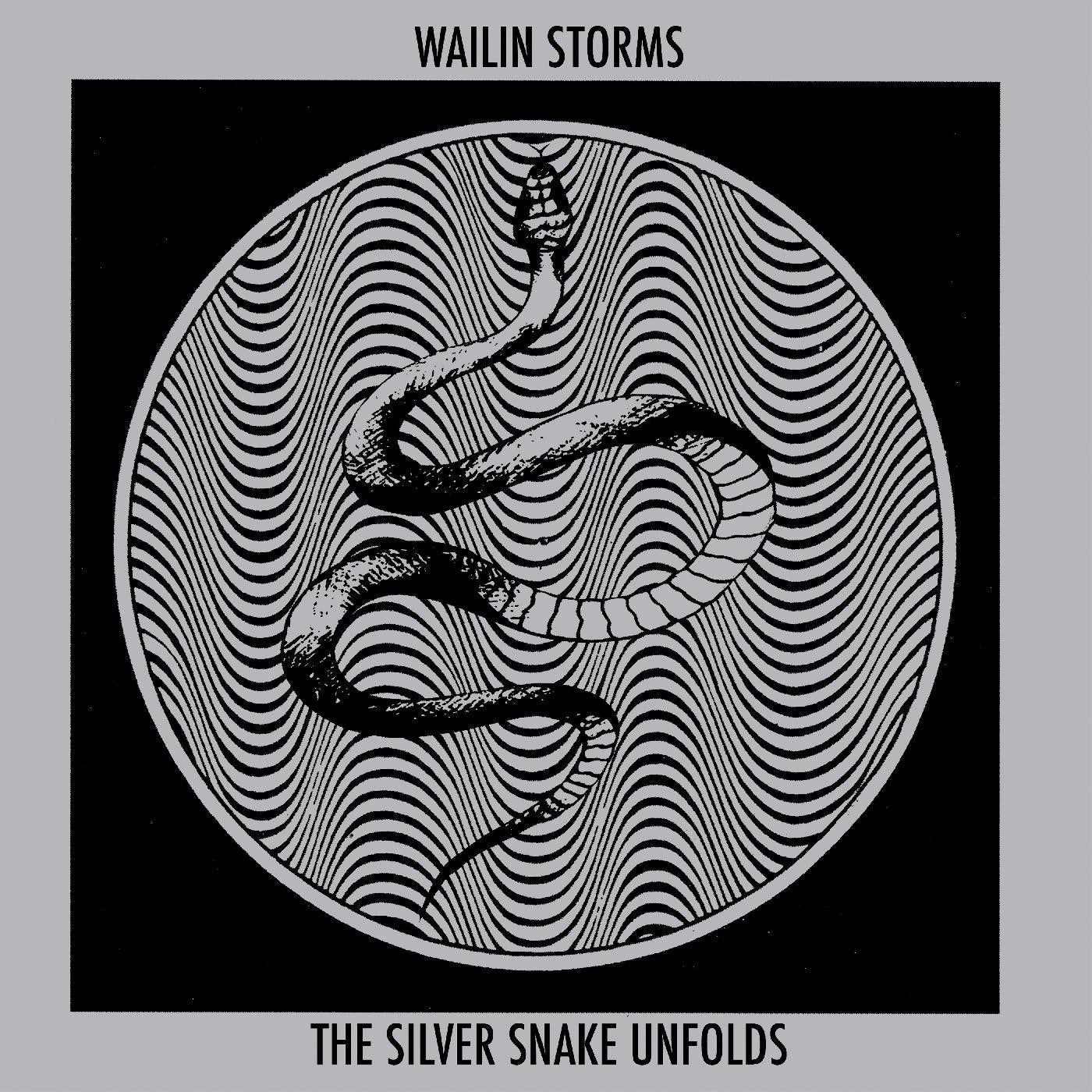 Wailin Storms - The Silver Snake Unfolds (CD) | - ROCK *NEW*