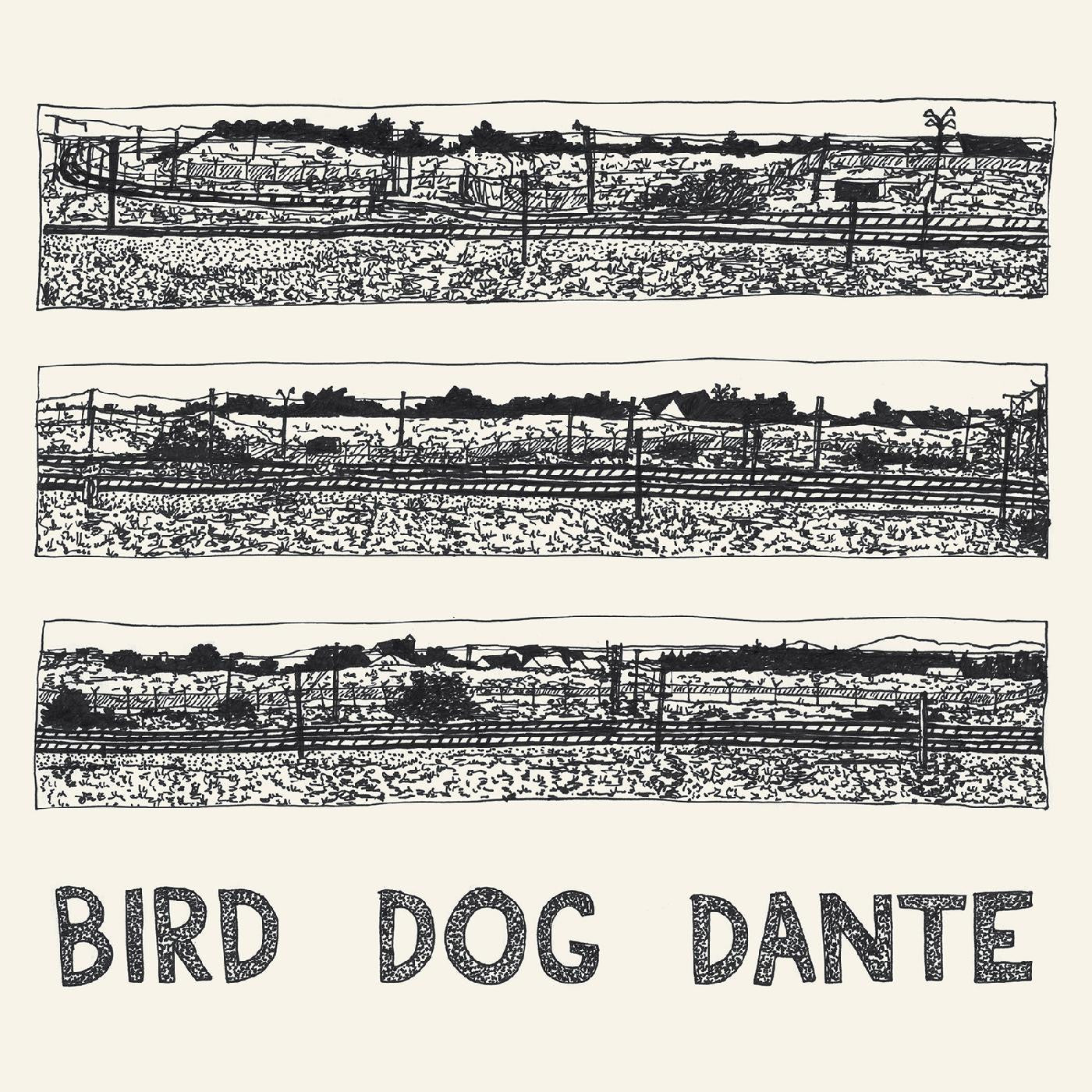Parish, John - Bird Dog Dante (CD) | Mint Mint - ROCK *NEW*