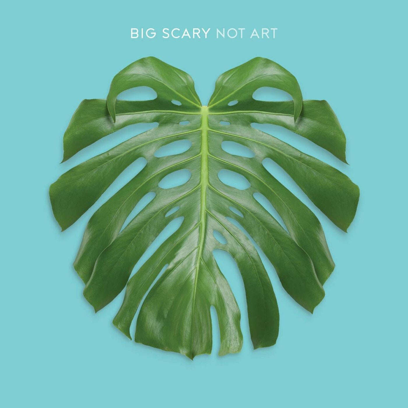 Big Scary - Not Art (CD) | - ROCK *NEW*