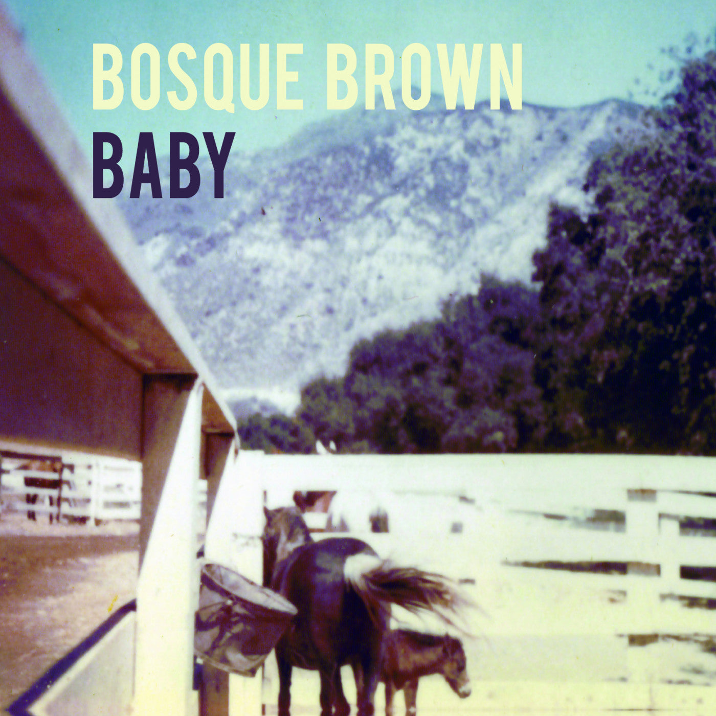 Brown, Bosque - Baby (CD) | - ROCK *NEW*
