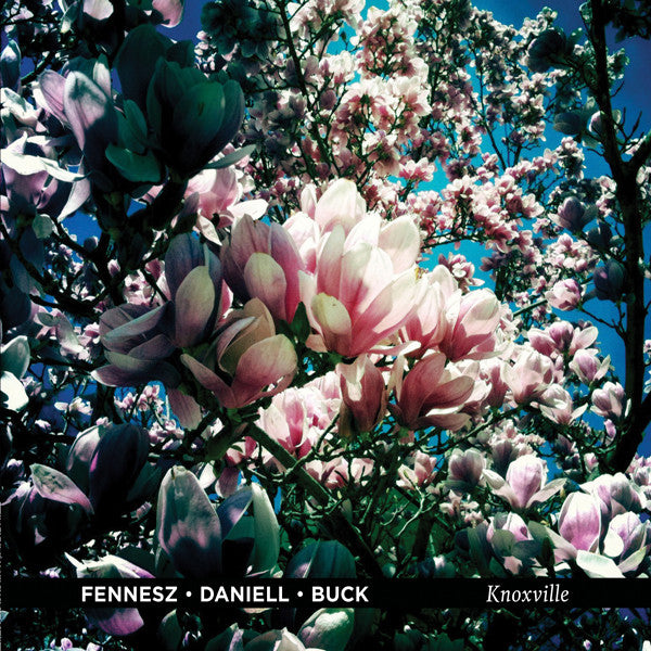 Fennesz / Daniell / Buck - Knoxville (CD) | Mint (M) Mint (M) - ROCK *NEW*