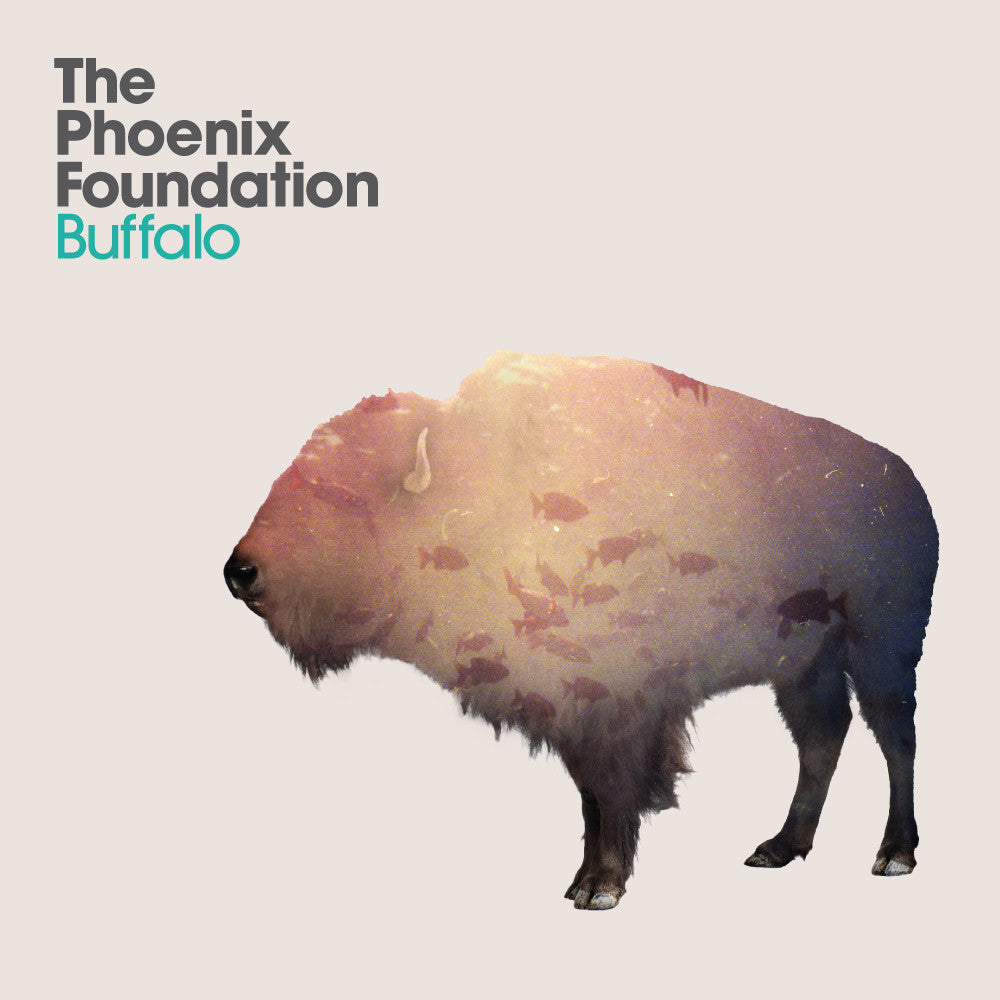 Phoenix Foundation, The - Buffalo (CD) | Mint Mint - ROCK *NEW*