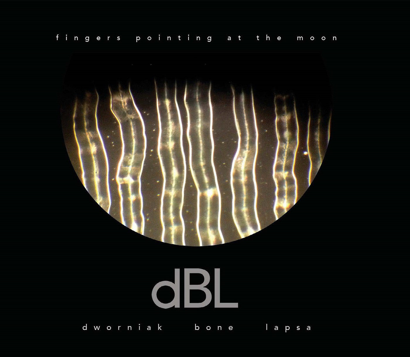 Dworniak Bone Lapsa - Fingers Pointing At The Moon (CD) | Mint Mint - ROCK *NEW*