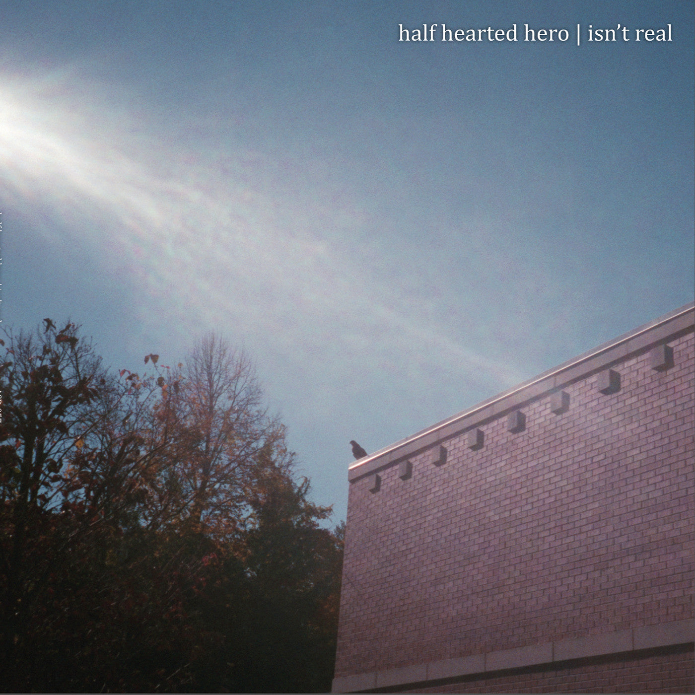 Half Hearted Hero - Isn't Real (Vinyl) | Mint (M) Mint (M) - ROCK *NEW*