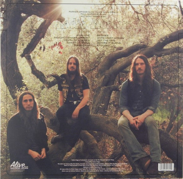Magical Dirt | Mint (M) Mint (M) - ROCK *SEALED/COLOR*