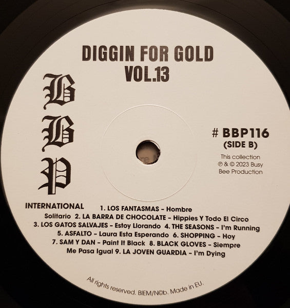 Diggin' For Gold Vol 13 (A Collection Of Demented 60' R&B/Punk & Mesmerizing Pop.) | Mint (M) Mint (M)