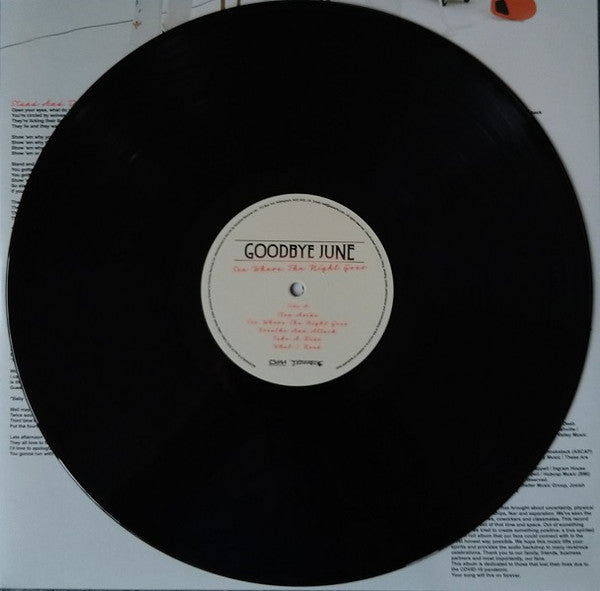 Goodbye June - See Where The Night Goes | Mint (M) Mint (M) - ROCK *SEALED*