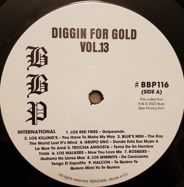 Diggin' For Gold Vol 13 (A Collection Of Demented 60' R&B/Punk & Mesmerizing Pop.) | Mint (M) Mint (M)