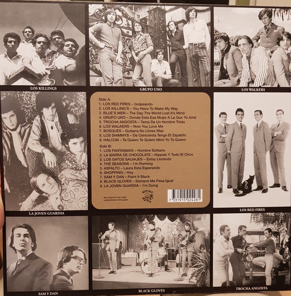 Diggin' For Gold Vol 13 (A Collection Of Demented 60' R&B/Punk & Mesmerizing Pop.) | Mint (M) Mint (M)