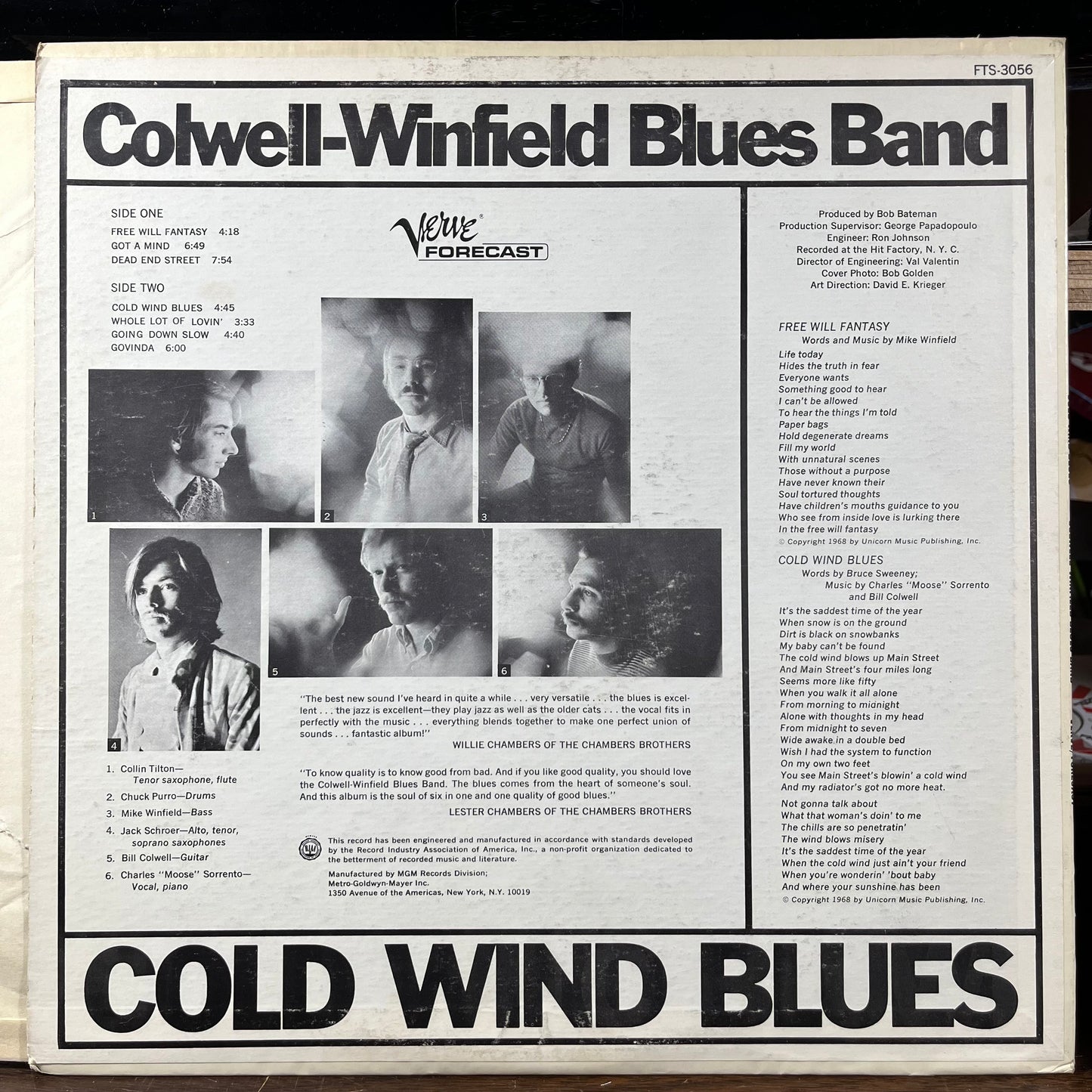 Cold Wind Blues (VINYL) | Excellent+ (EX+) Excellent+ (EX+) - ROCK / USED *EXCELLENT+*