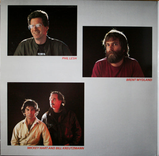 The Grateful Dead - In The Dark (VINYL) | Excellent+ (EX+) Excellent (EX) - ROCK / USED *EXCELLENT+*