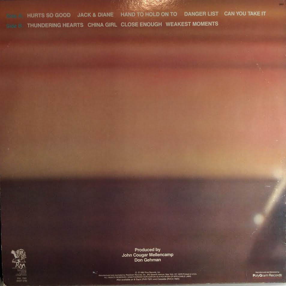 American Fool (VINYL) | Excellent+ (EX+) Excellent+ (EX+) - ROCK / USED *EXCELLENT+*