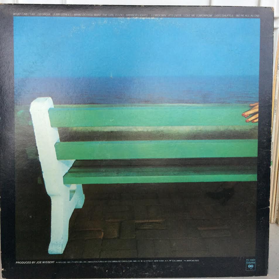 Silk Degrees (VINYL) | Excellent (EX) Very Good Plus (VG+) - ROCK / USED *EXCELLENT*