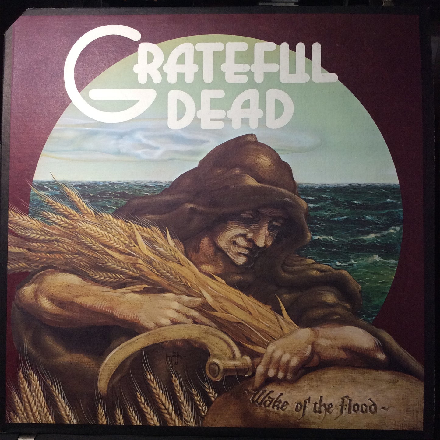 Wake Of The Flood (VINYL) | Excellent (EX) Excellent+ (EX+) - ROCK / USED *EXCELLENT*