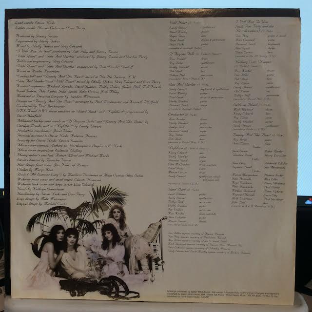 The Wild Heart (VINYL) | Excellent (EX) Very Good Plus (VG+) - ROCK / USED *EXCELLENT*