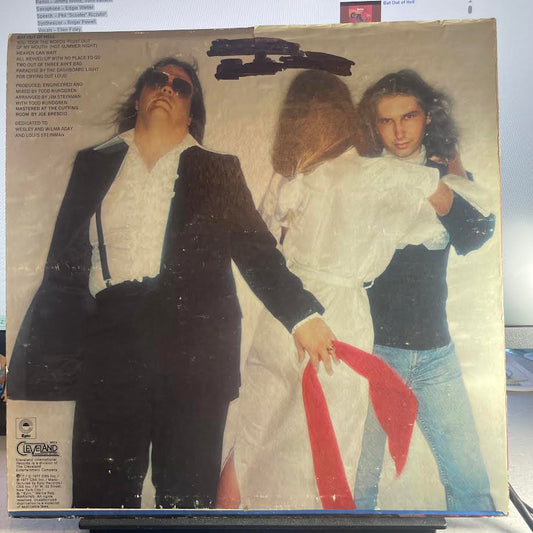 Meat Loaf - Bat Out Of Hell (VINYL) | Excellent (EX) Very Good Plus (VG+) - ROCK / USED *EXCELLENT*