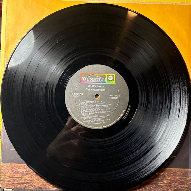 Golden Grass: Their Greatest Hits (VINYL) | Excellent (EX) Excellent (EX) - ROCK / USED *EXCELLENT*