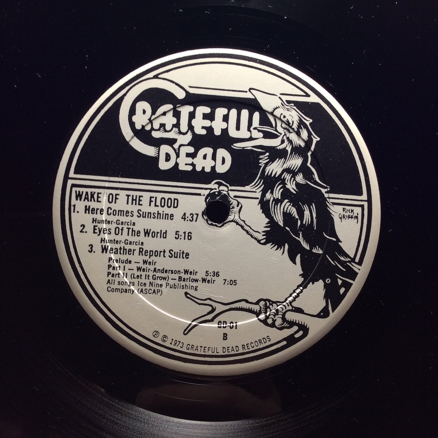Wake Of The Flood (VINYL) | Excellent (EX) Excellent+ (EX+) - ROCK / USED *EXCELLENT*