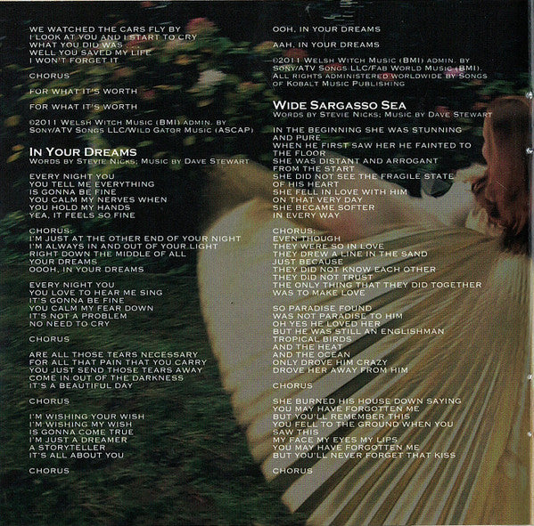 In Your Dreams (CD) | Near Mint- (NM-) Near Mint- (NM-) - ROCK / USED *NEAR MINT-*