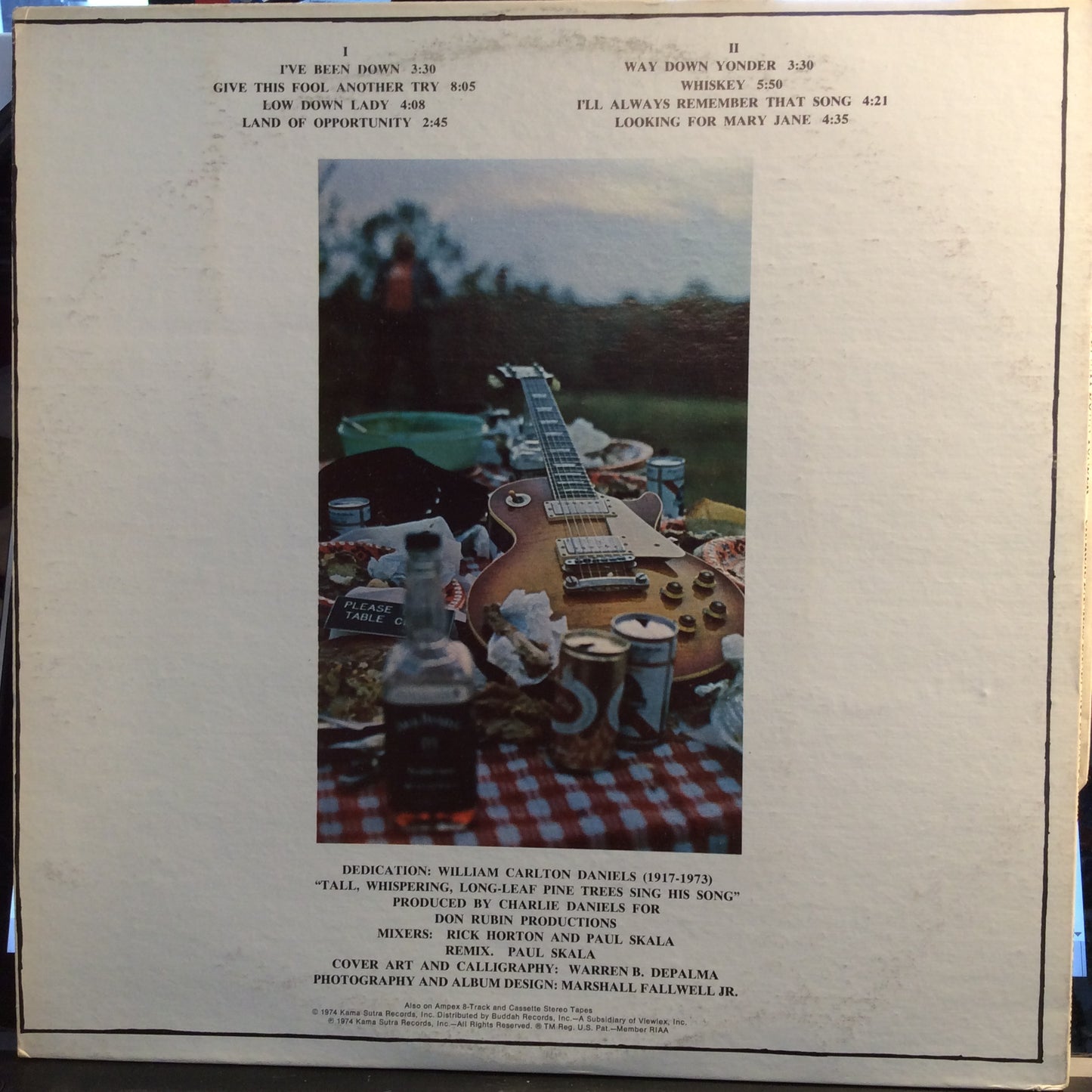 Way Down Yonder (VINYL) | Near Mint- (NM-) Excellent (EX) - ROCK / USED *NEAR MINT-*