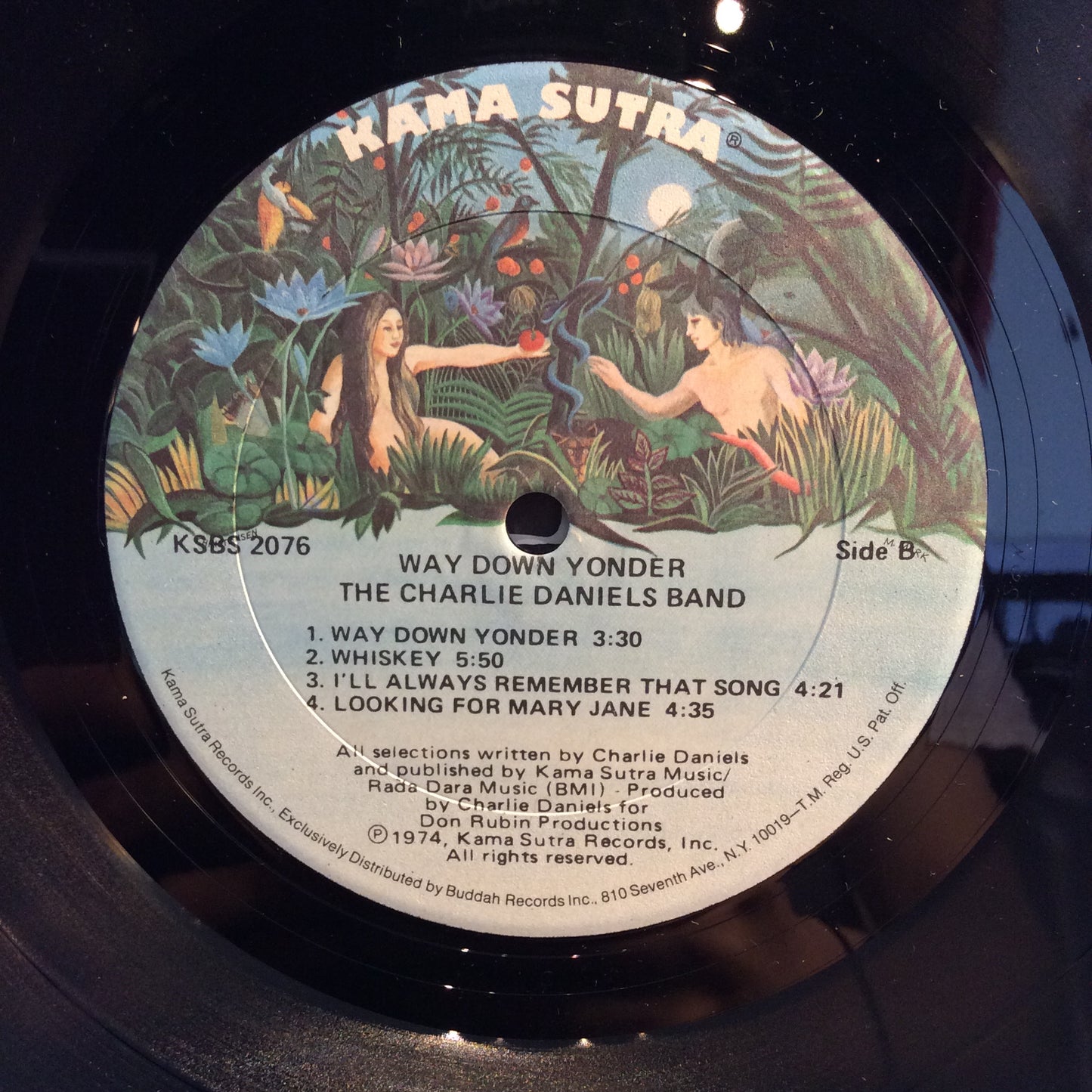 Way Down Yonder (VINYL) | Near Mint- (NM-) Excellent (EX) - ROCK / USED *NEAR MINT-*
