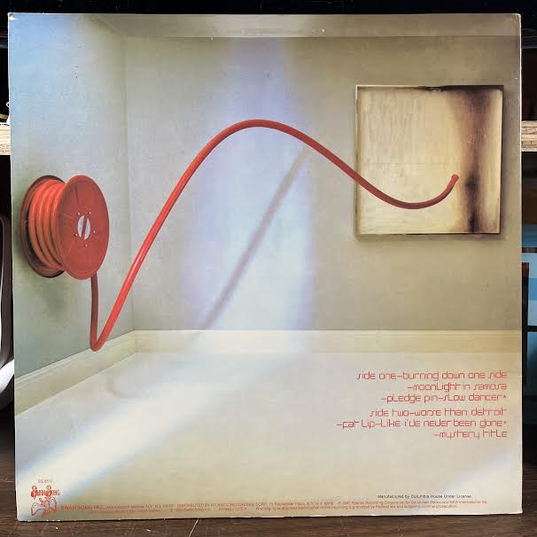 Pictures At Eleven (VINYL) | Near Mint- (NM-) Near Mint- (NM-) - ROCK / USED *NEAR MINT-*