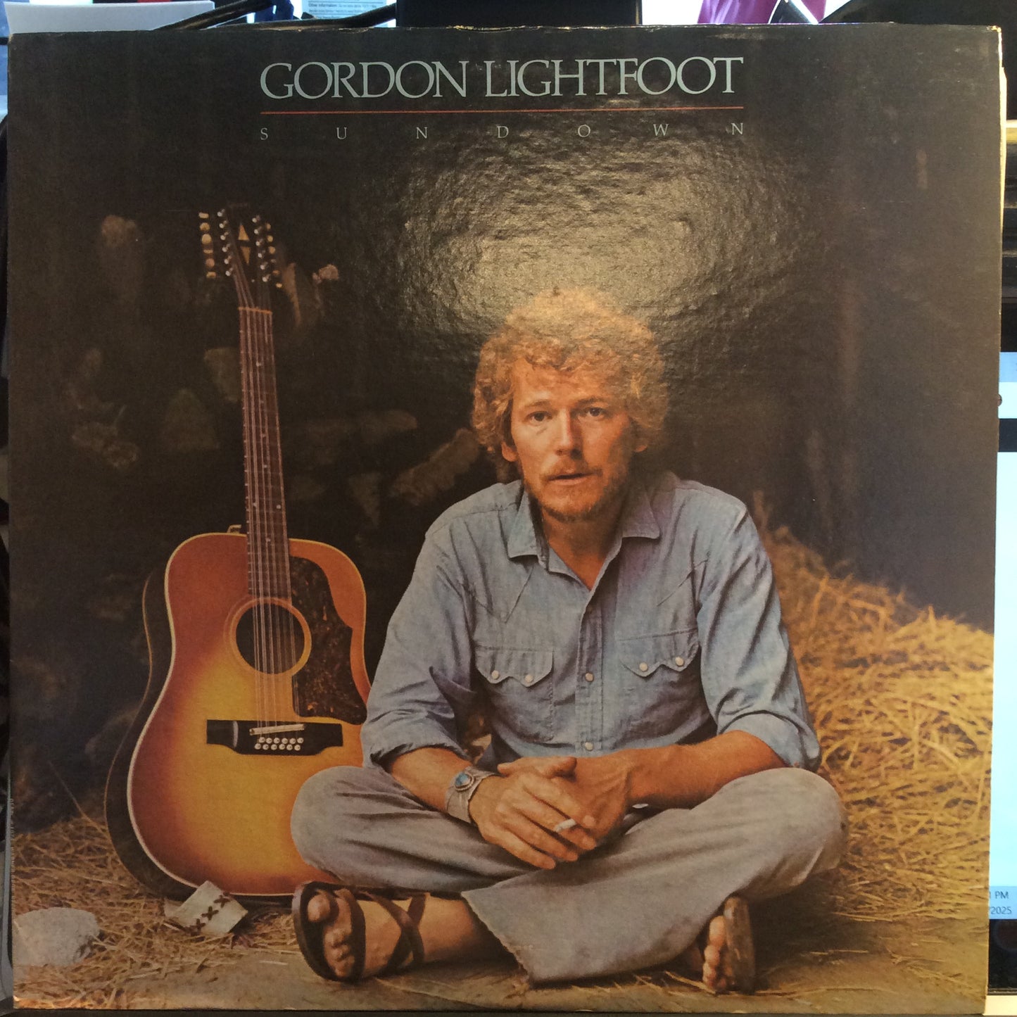 Sundown (VINYL) | Near Mint- (NM-) Excellent+ (EX+) - ROCK / USED *NEAR MINT-*