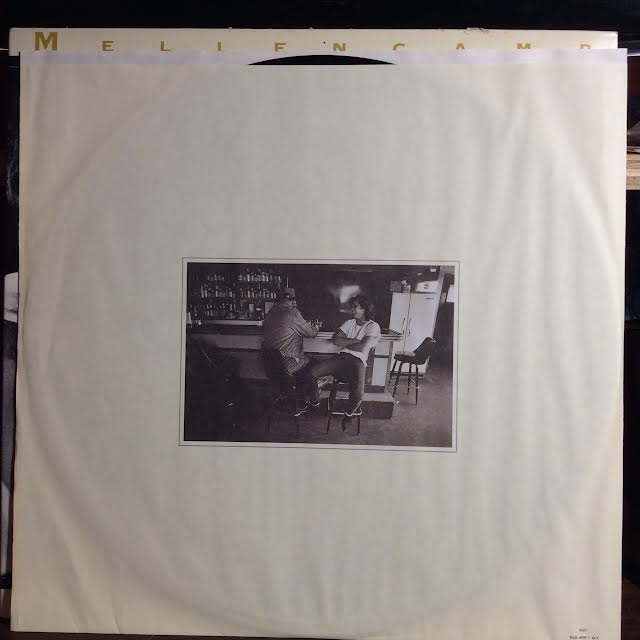 The Lonesome Jubilee (VINYL) | Near Mint- (NM-) Excellent+ (EX+) - ROCK / USED *NEAR MINT-*
