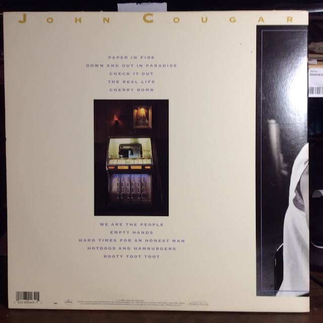 The Lonesome Jubilee (VINYL) | Near Mint- (NM-) Excellent+ (EX+) - ROCK / USED *NEAR MINT-*