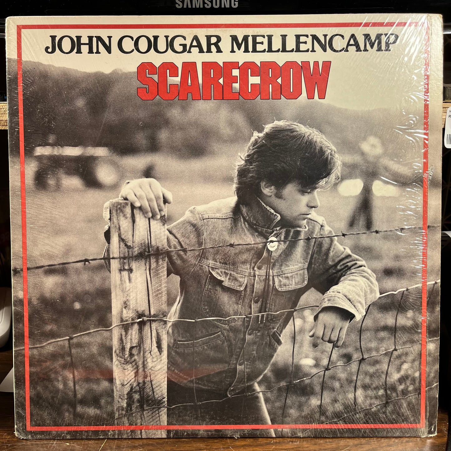 Scarecrow (VINYL) | Near Mint (NM) Near Mint (NM) - ROCK / USED *NEAR MINT*