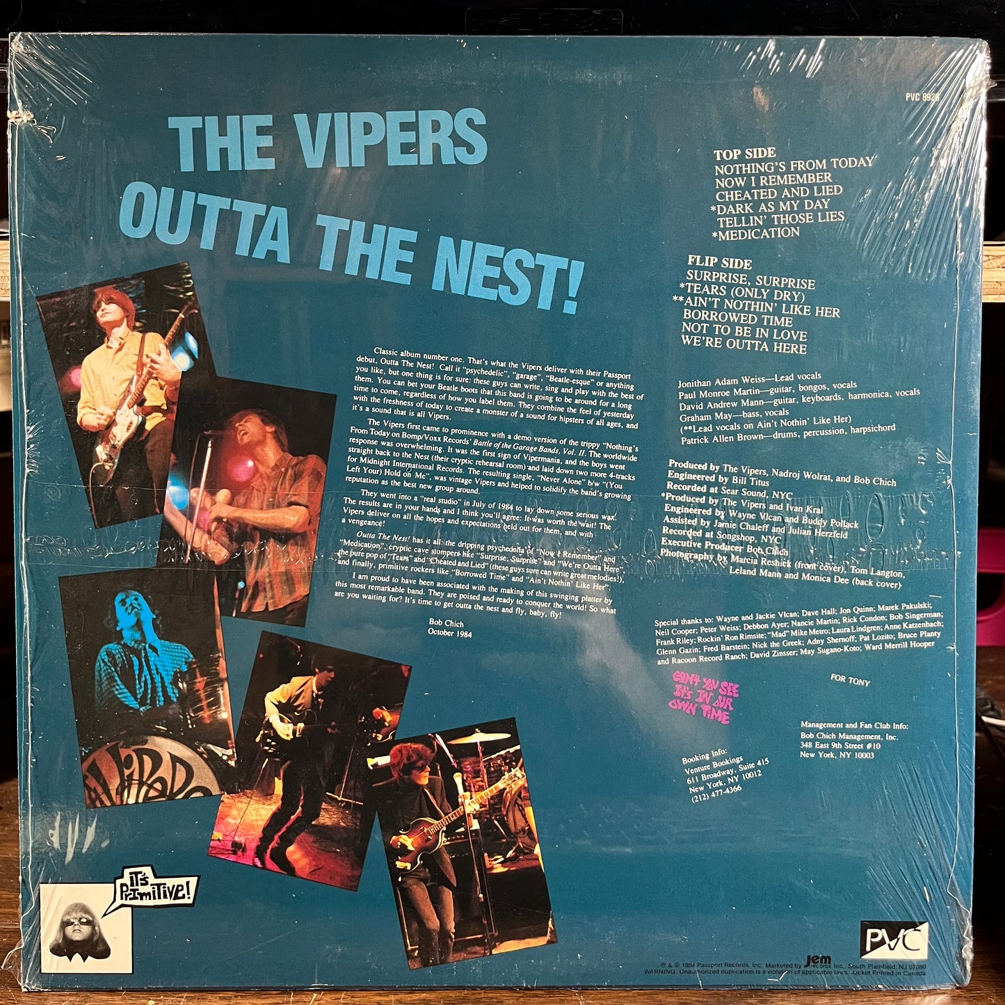 Outta The Nest (VINYL) | Near Mint (NM) Near Mint (NM) - ROCK / USED *NEAR MINT*