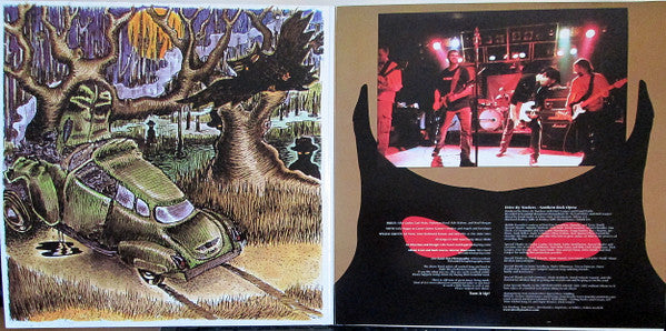 Southern Rock Opera (2xVINYL) | Near Mint (NM) Near Mint (NM) - ROCK / USED *NEAR MINT*