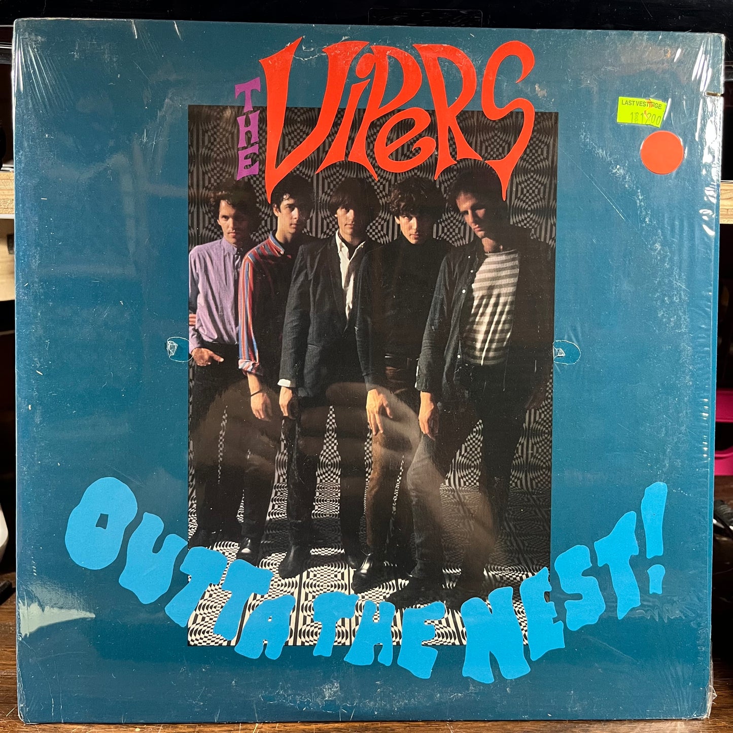Outta The Nest (VINYL) | Near Mint (NM) Near Mint (NM) - ROCK / USED *NEAR MINT*
