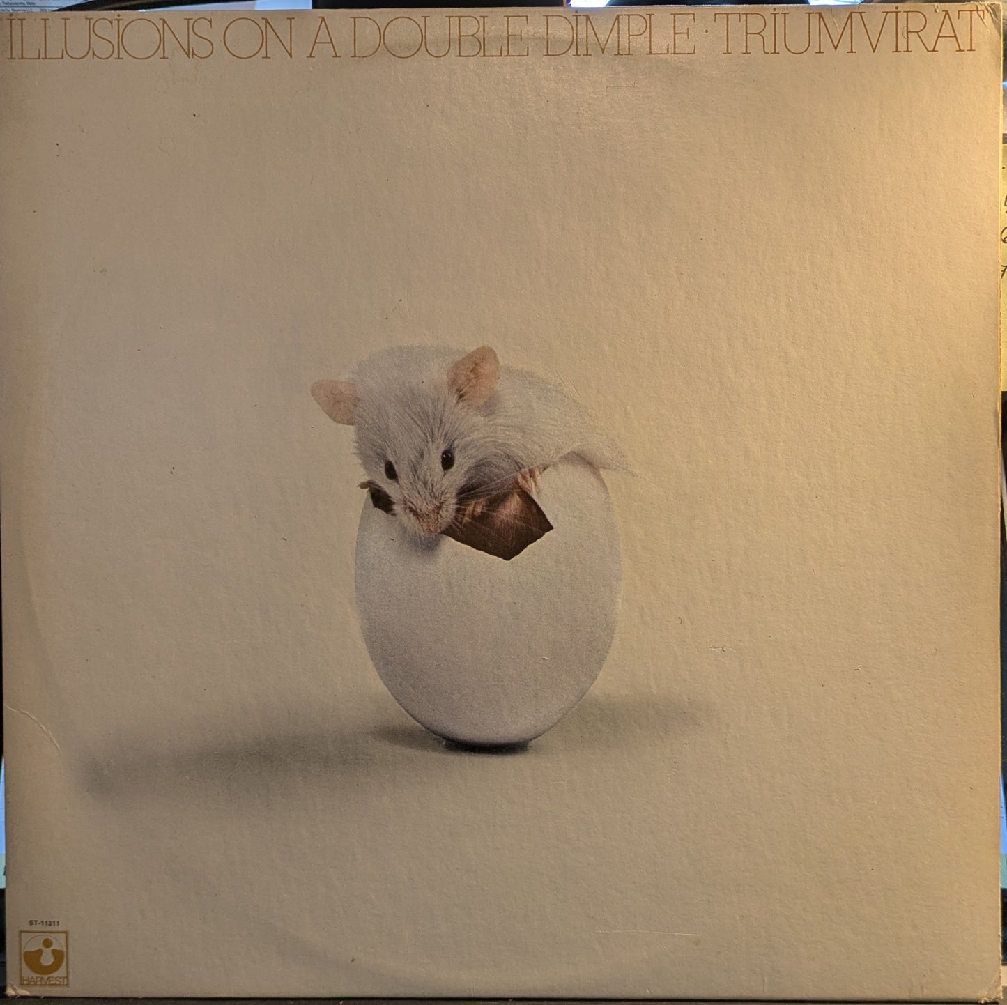 Illusions On A Double Dimple (VINYL) | Near Mint (NM) Excellent+ (EX+) - ROCK / USED *NEAR MINT*