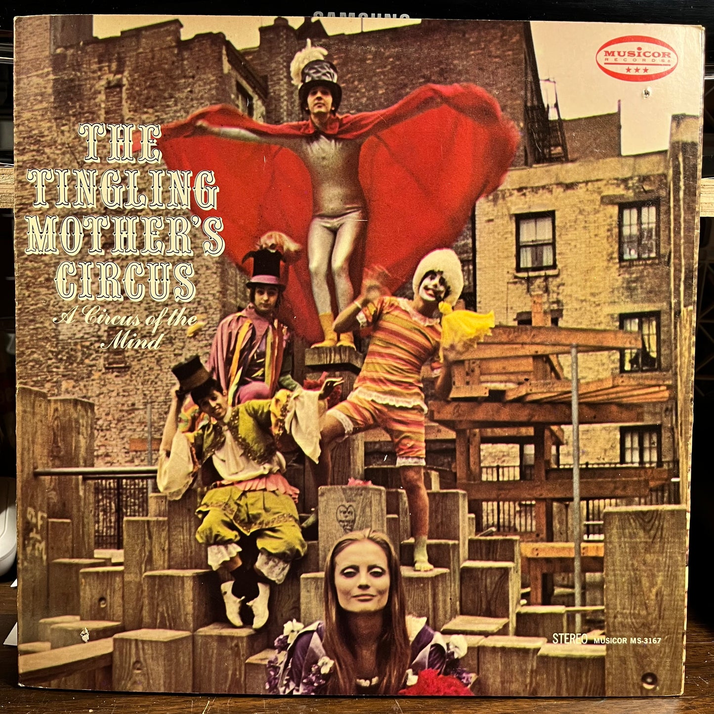 A Circus Of The Mind (VINYL) | Near Mint (NM) Near Mint (NM) - ROCK / USED *NEAR MINT*