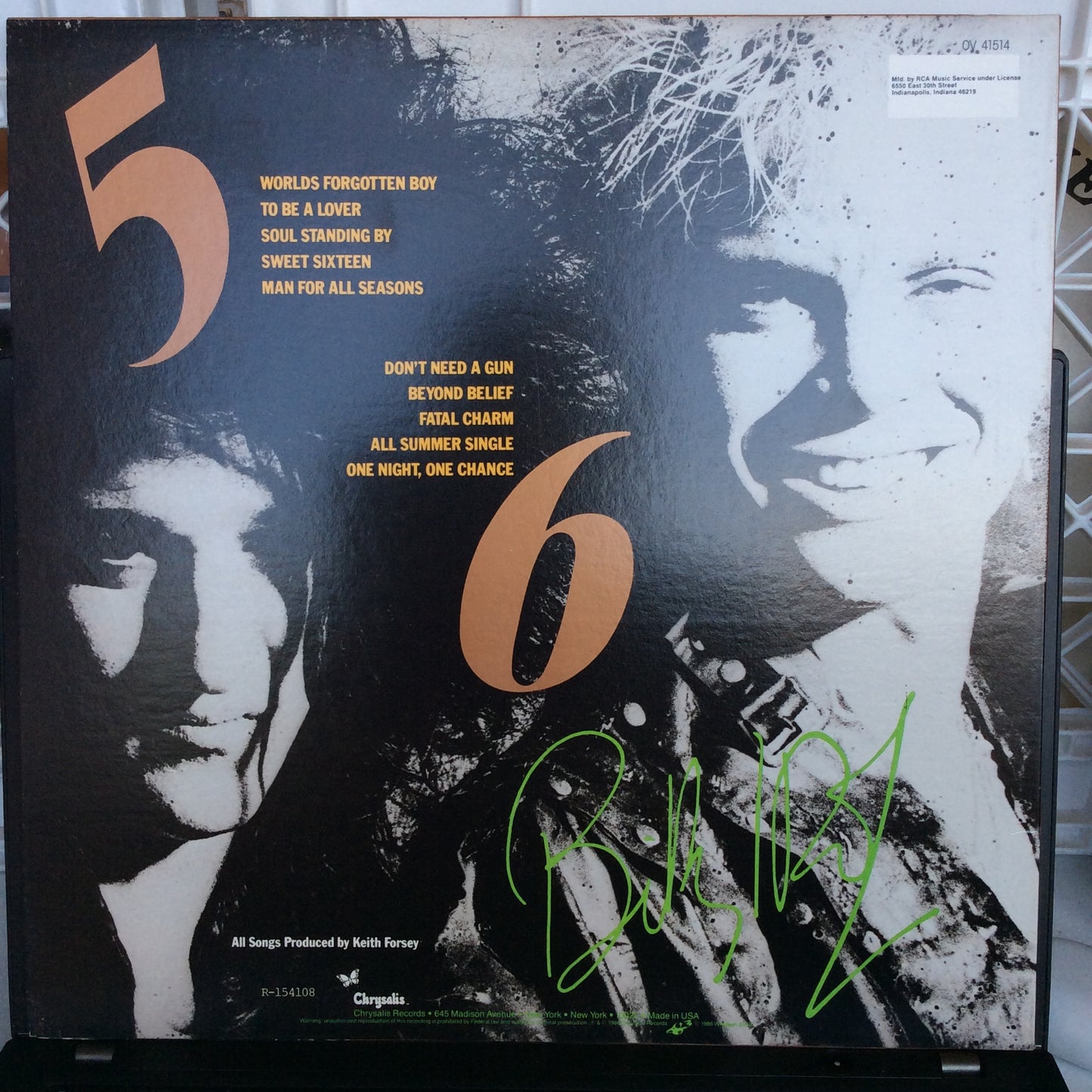 Whiplash Smile (VINYL) | Near Mint (NM) Near Mint (NM) - ROCK / USED *NEAR MINT*