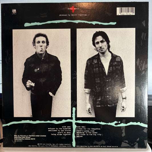 David + David - Boomtown (VINYL) | Near Mint (NM or M-) Excellent+ (EX+) - ROCK / USED *NEAR MINT*