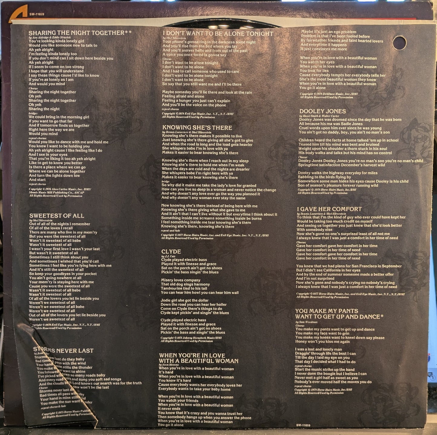 Pleasure & Pain (VINYL) | Near Mint (NM or M-) Excellent (EX) - ROCK / USED *NEAR MINT*
