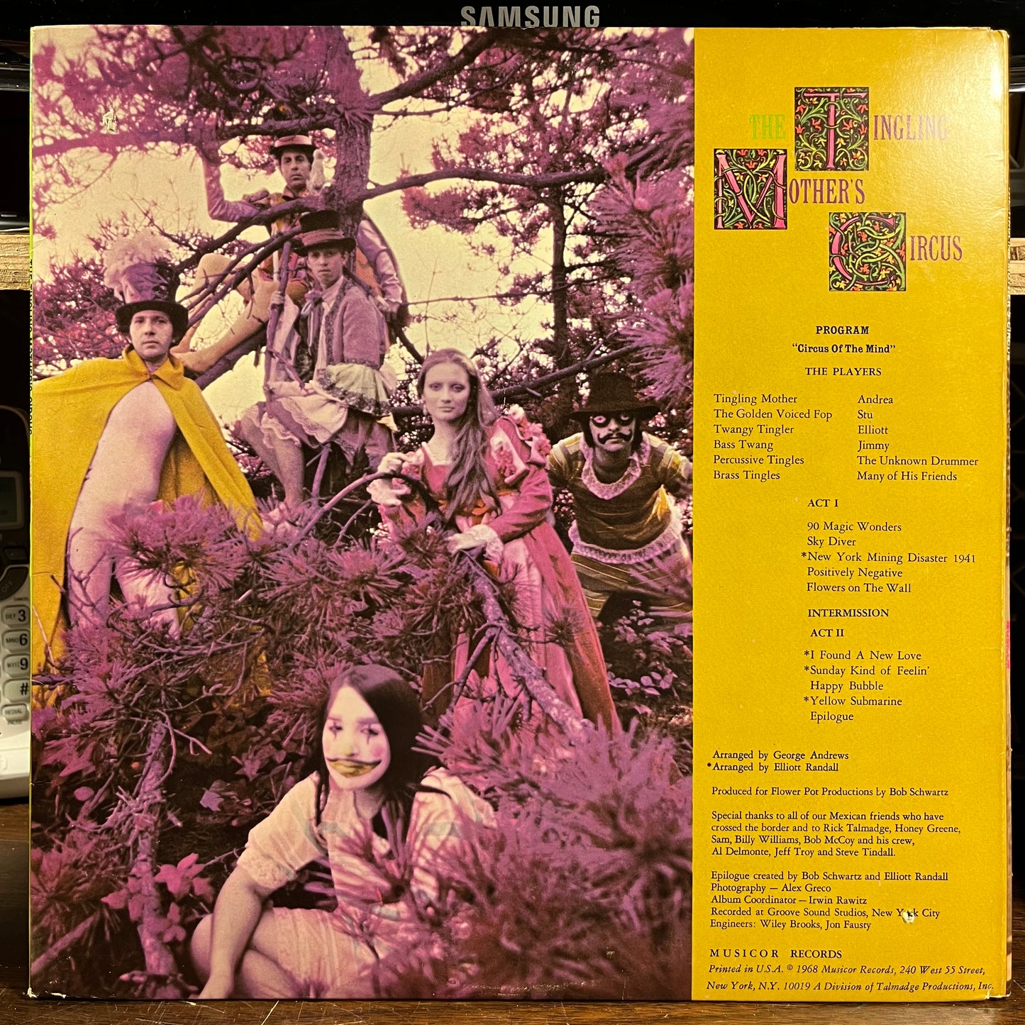 A Circus Of The Mind (VINYL) | Near Mint (NM) Near Mint (NM) - ROCK / USED *NEAR MINT*