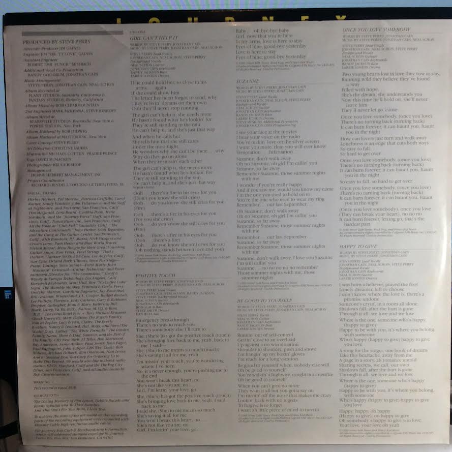Raised On Radio (VINYL) | Near Mint (NM) Near Mint (NM) - ROCK / USED *NEAR MINT*