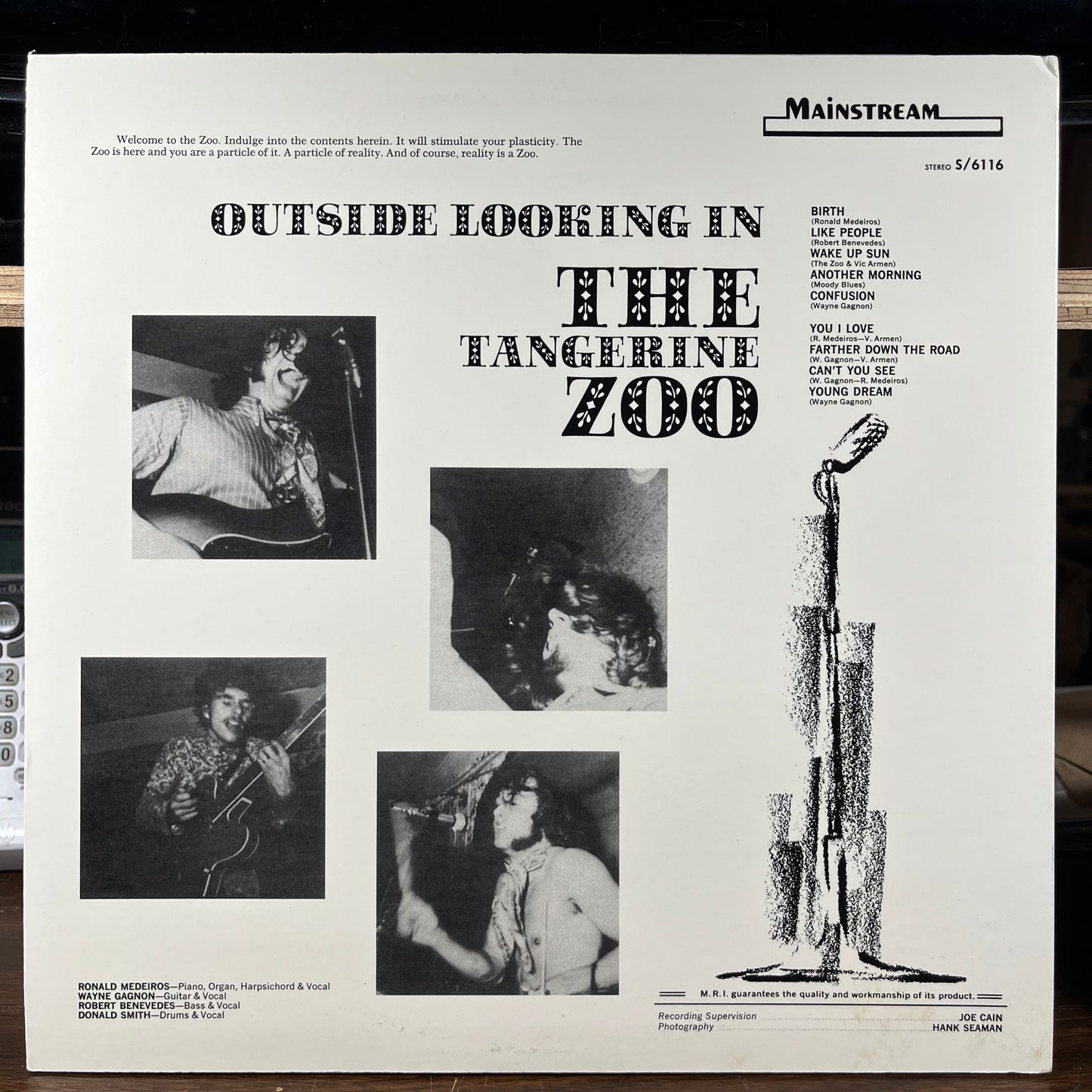 Outside Looking In (VINYL) | Near Mint (NM) Near Mint (NM) - ROCK / USED *NEAR MINT*