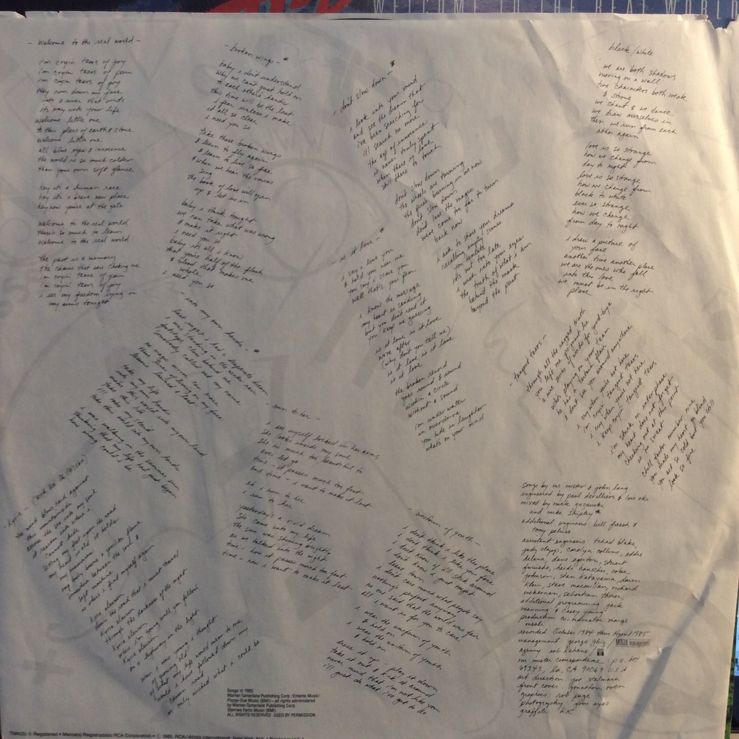 Welcome To The Real World (VINYL) | Near Mint (NM) Near Mint (NM) - ROCK / USED *NEAR MINT*