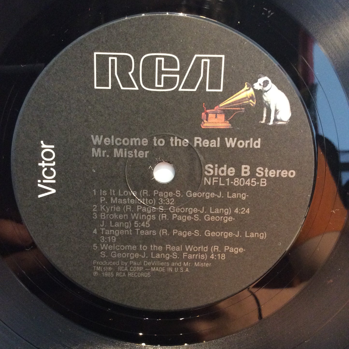 Welcome To The Real World (VINYL) | Near Mint (NM) Near Mint (NM) - ROCK / USED *NEAR MINT*