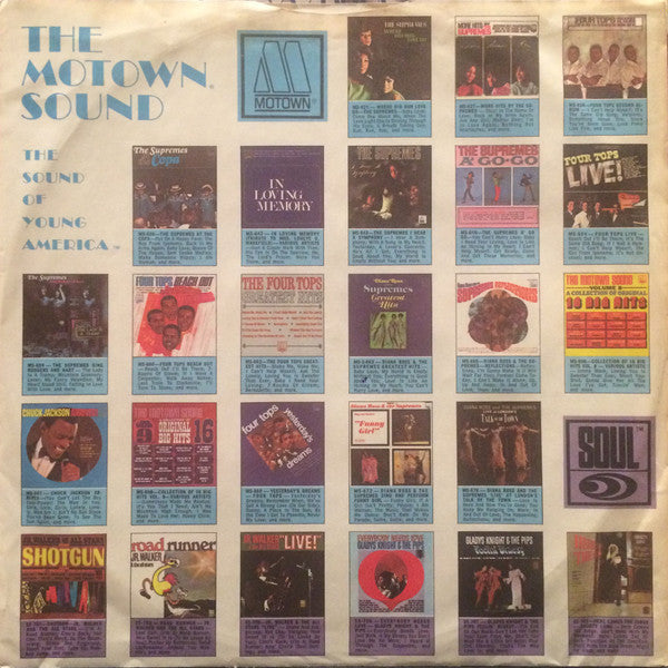 Ecology *IN SHRINK* | Very Good Plus (VG+) Near Mint (NM)
