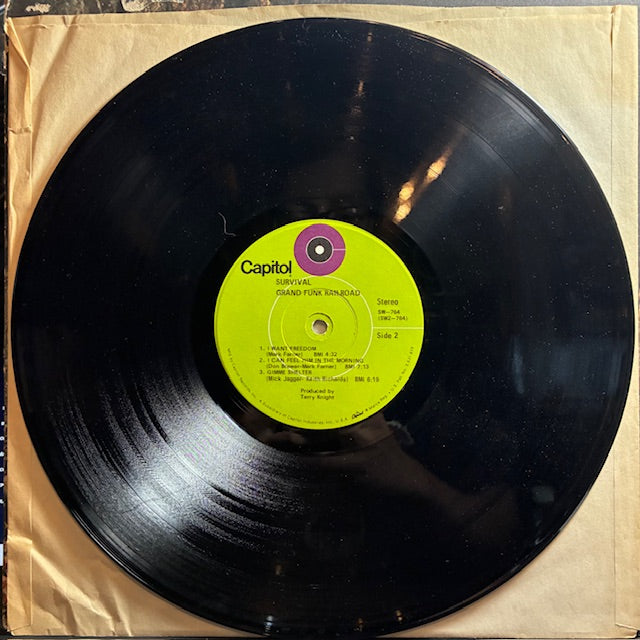 Survival (VINYL) | Very Good (VG) Very Good Plus (VG+) - ROCK / USED *VERY GOOD*